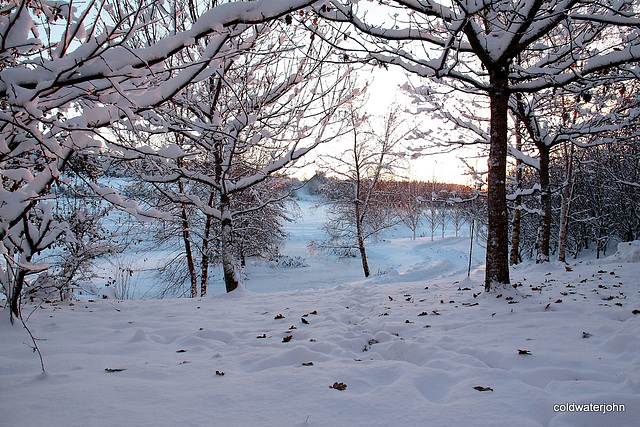 Pond snows 1st December 5223831101 o