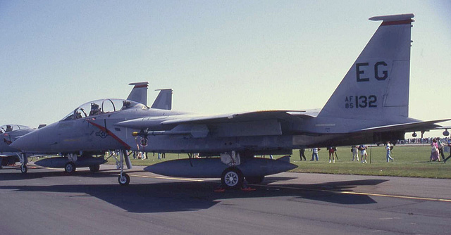 F-15D Eagle 850132 (USAF)