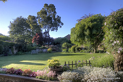 Stickland Farm - the garden on an early morning in May