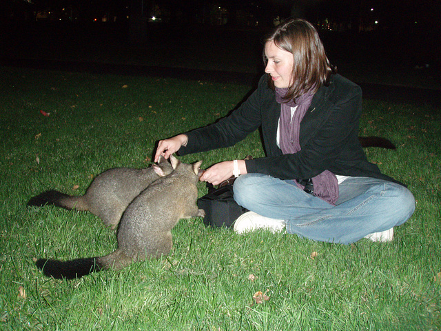 Emilie & possums in Treasury Gardens