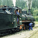 Pinzgau Bahn Steam Locomotive