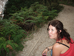 Sioned and the wombat