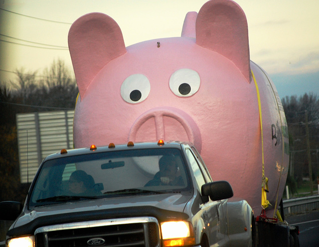 Billy the Worlds Largest Piggy Bank