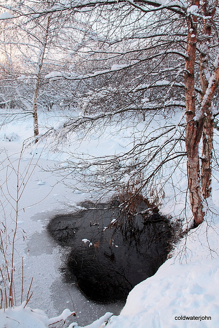 Pond snows 1st December 5224432032 o