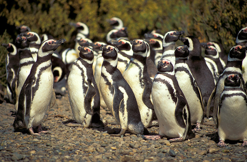 A Social Gathering