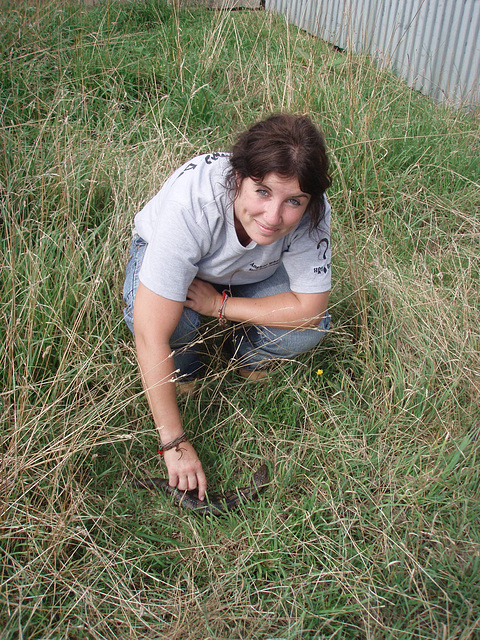 Sioned & the lizard