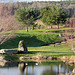 Early morning sunshine - Spring is in the air?