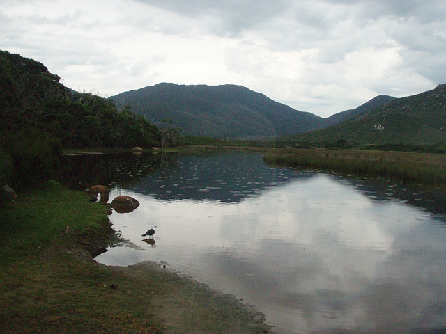 Tidal River in light rain