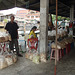 fish feeding on Chao Praya