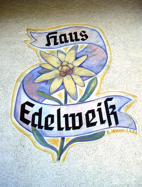 Kaprun- Haus Edelweiss