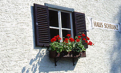 Haus Schranz- Window and Geraniums