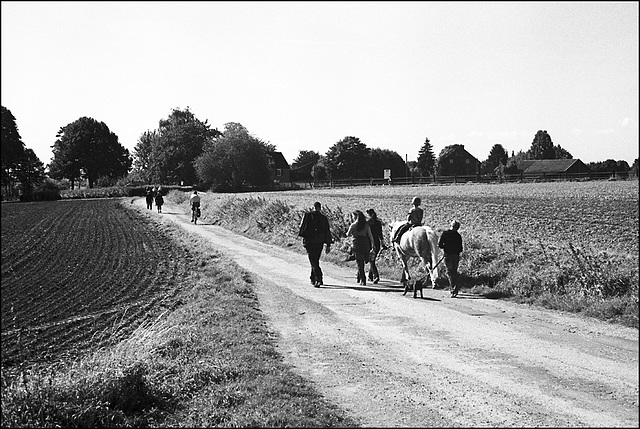 Feldweg