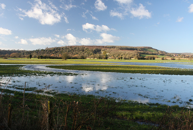 Flooded field