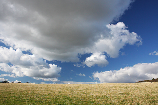 Big sky