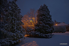 Streetlights and snow, pre-dawn