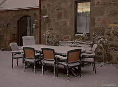 Would anyone like breakfast outside this morning?