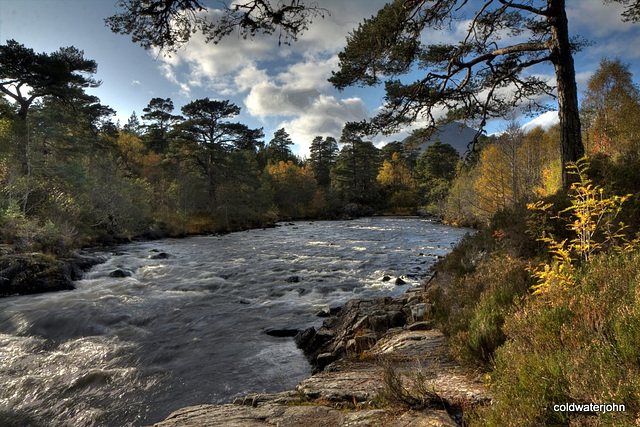 Autumn in Glen Affric - HDR