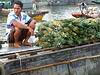 Pineapple Seller