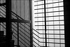 Licht