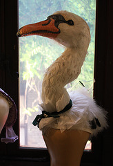 Swan's head