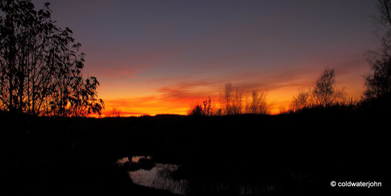 Dusk #1