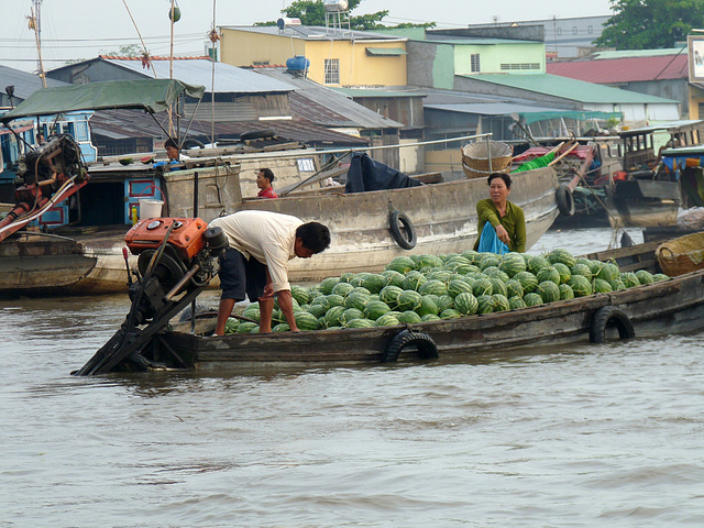 Melons to Market