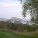 Vistas from a West Highland Estate