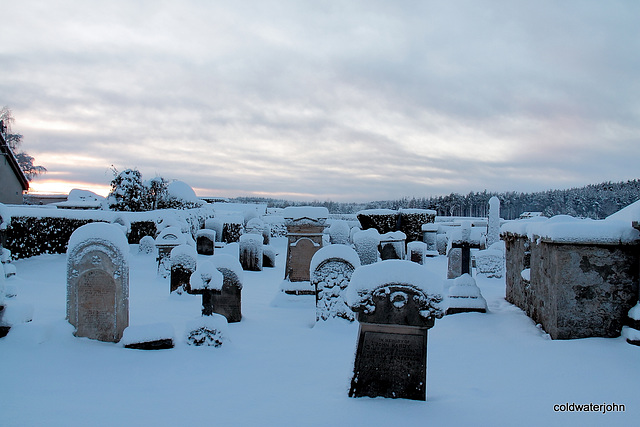 Village walk this afternoonthe old cemetery 5223838143 o