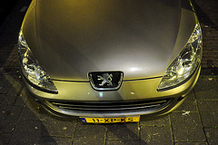 Modern Peugeot nose