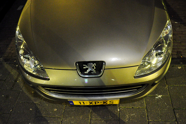 Modern Peugeot nose