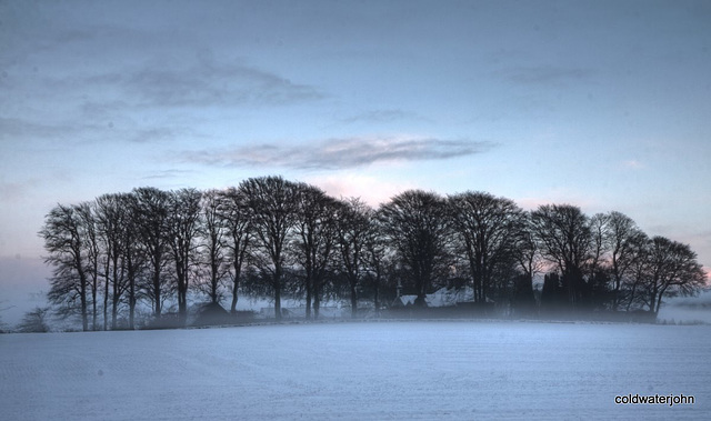 Farmhouse in copse - snow and freezing fog