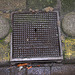 Drain cover of Buderus of The Hague