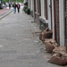 After some flooding, residents started using sand bags