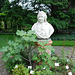 A visit to the Botanical Garden of Leiden University: bust of Linnæus