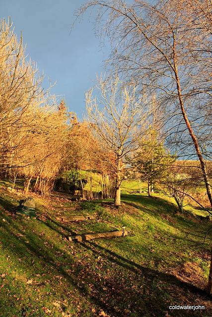 Late afternoon sunshine on the steps to the willow circle