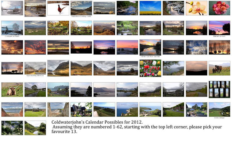 2012 Calendar Possibles