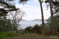 Vistas from a West Highland Estate