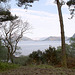 Vistas from a West Highland Estate