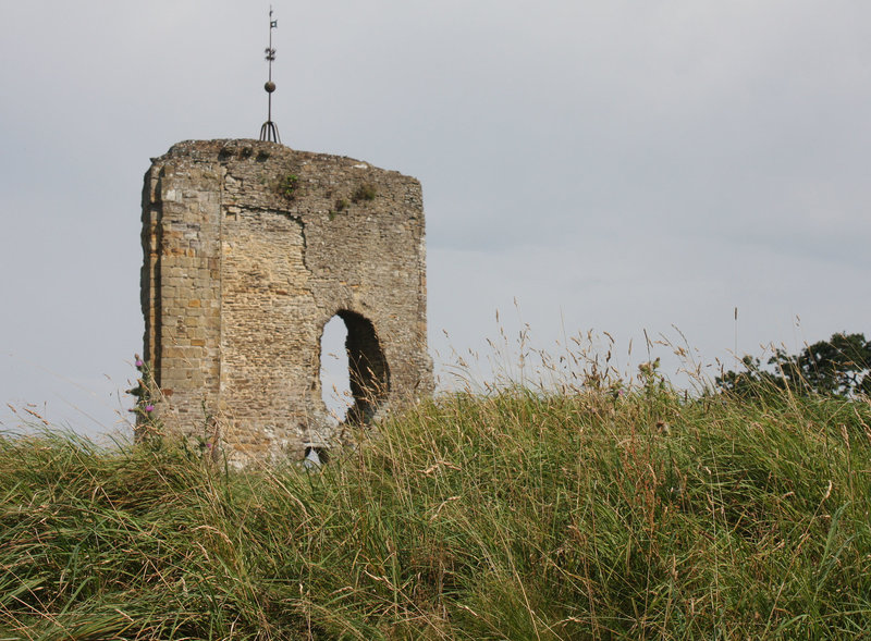 Knepp Castle