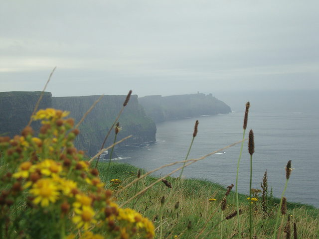 ireland 038