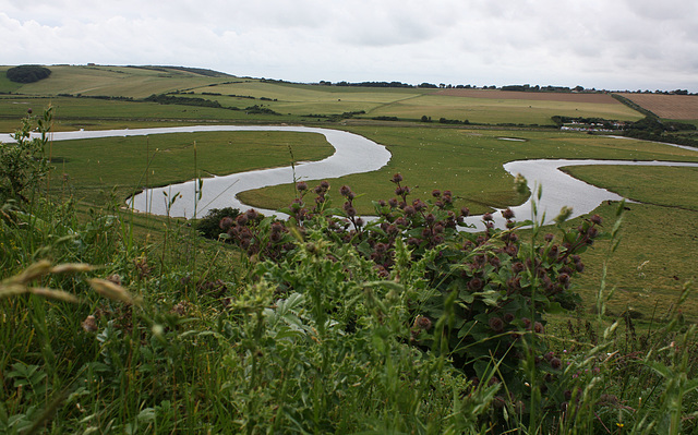 Cuckmere meander