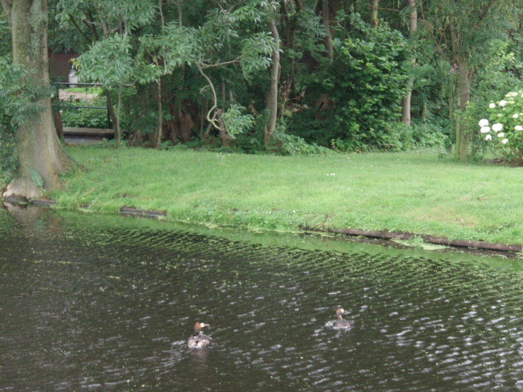 Spoelwijk