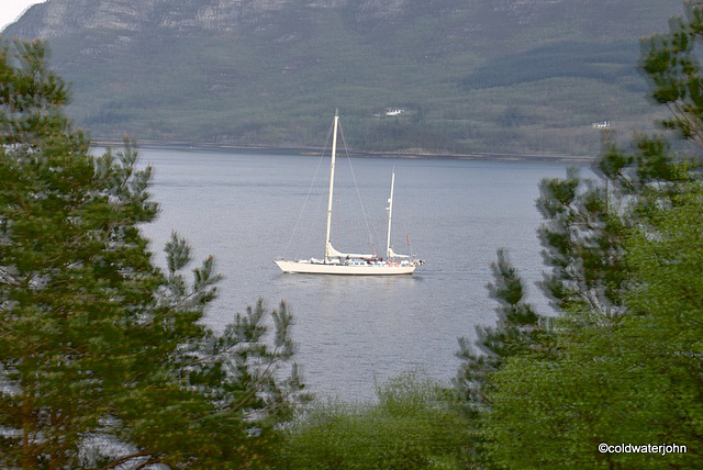 Vistas from a West Highland Estate