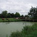 pacht cows