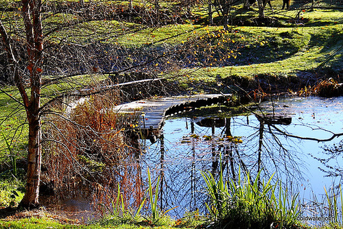 Cold and frosty morning 5177959995 o
