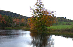 Starksboro Pond