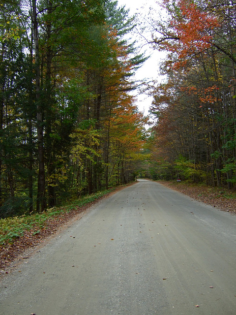 Starksboro Road