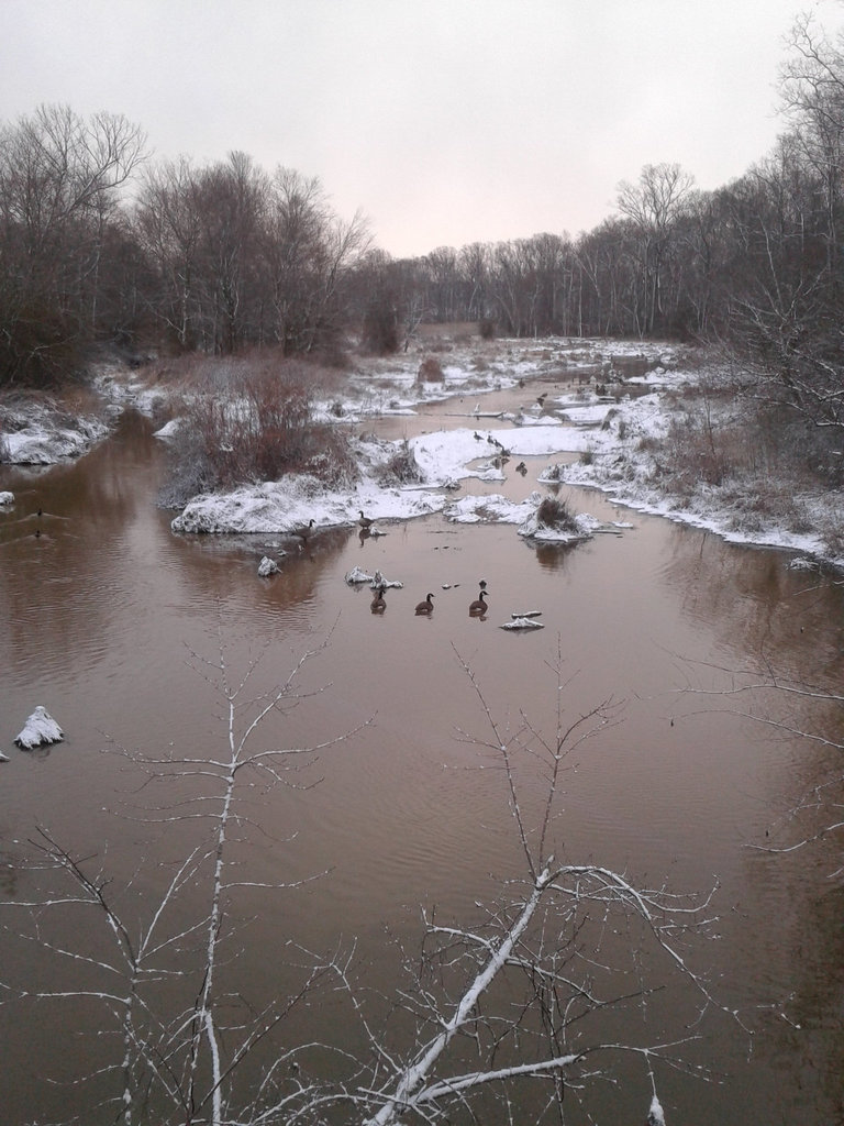 agricultural creek