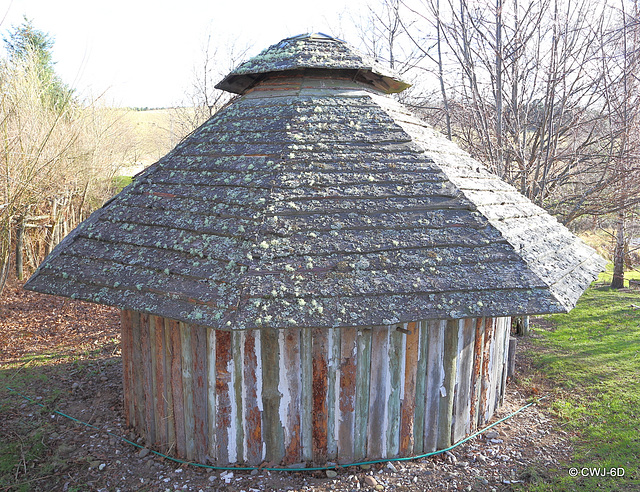 Lichens on Larch Gazebo roofing - Nature's barometer for Air Purity