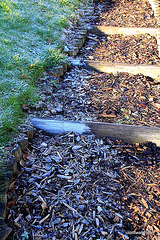 Cold and frosty morning 5178566606 o